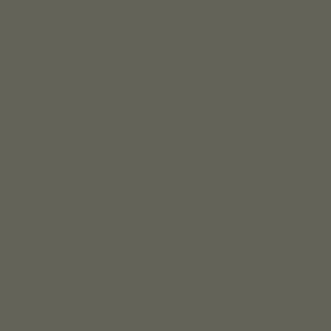 365 Organic Cotton Pant - Dusty Olive