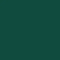 Big Ocean Bottle 1 Liter - Passenger Forest Green