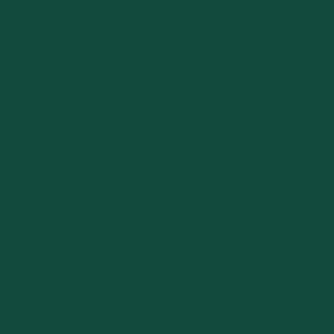 Big Ocean Bottle 1 Liter - Passenger Forest Green