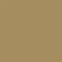 Drifter All Purpose Short - Mustard Gold