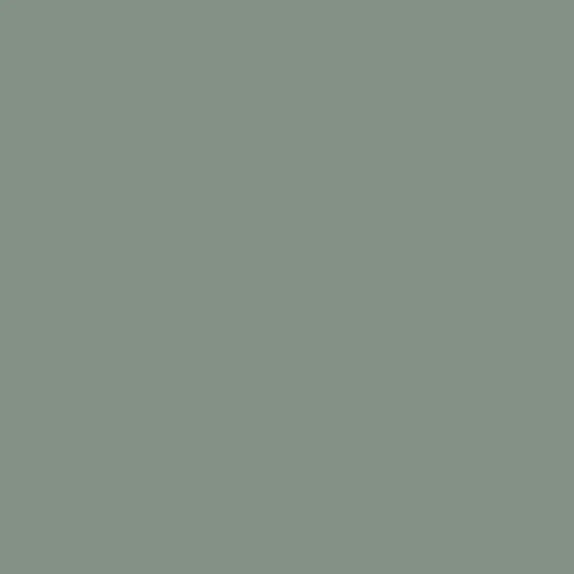 Drifter Cord Shorts - Pistachio