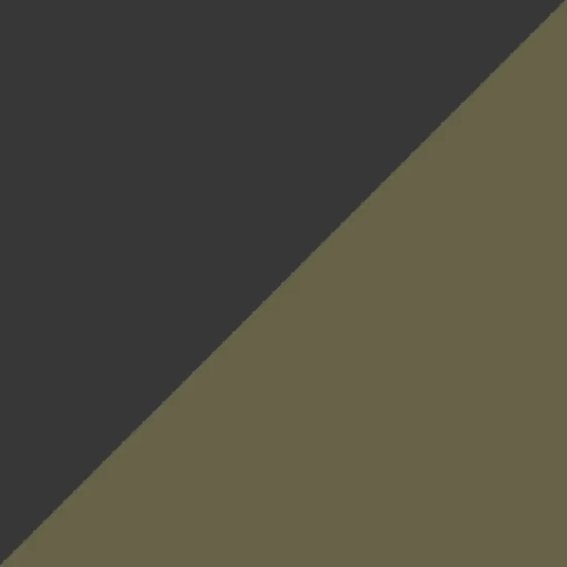 Mainland Recycled Hip Pack - True Black/ Khaki Green
